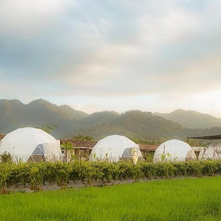 Borobudur Luxury Glamping Magelang Eksteriør billede