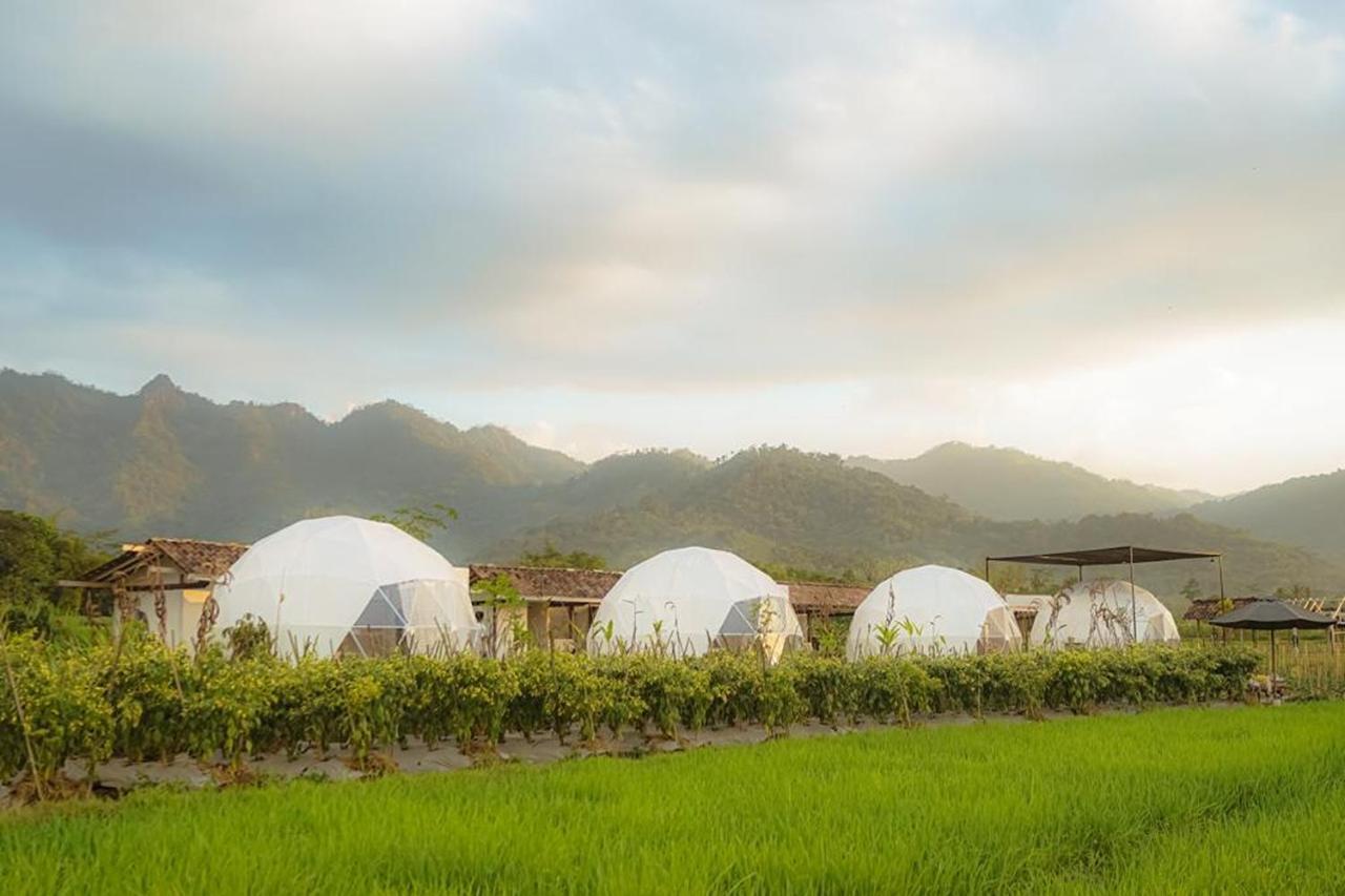 Borobudur Luxury Glamping Magelang Eksteriør billede