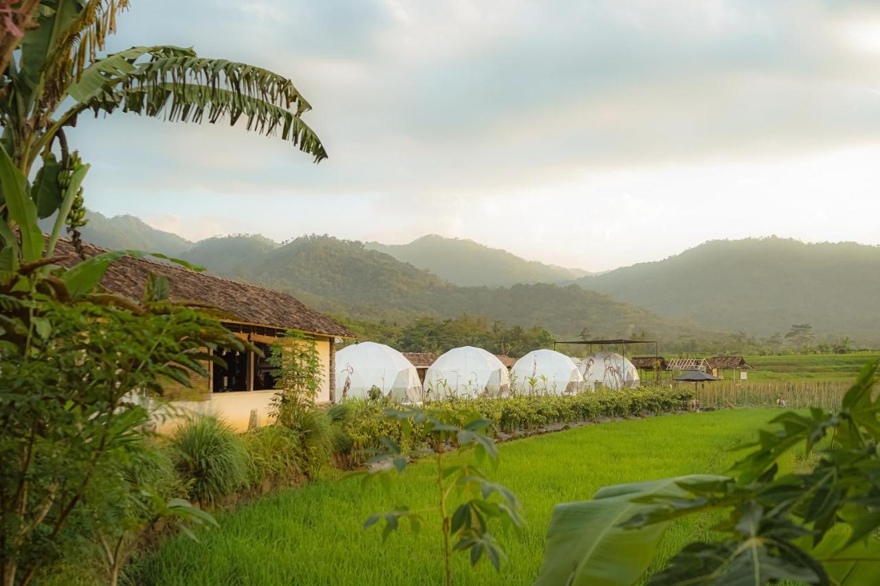 Borobudur Luxury Glamping Magelang Eksteriør billede